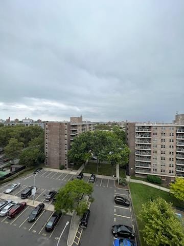 200 Cozine Avenue 9F, Brooklyn, New York, 11207 image 17