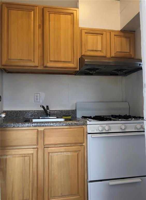 1409 Neptune Avenue, Brooklyn, New York, 11224 image 8