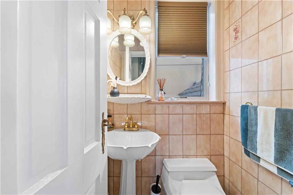 194 Falmouth Street, Brooklyn, New York, 11235 image 11
