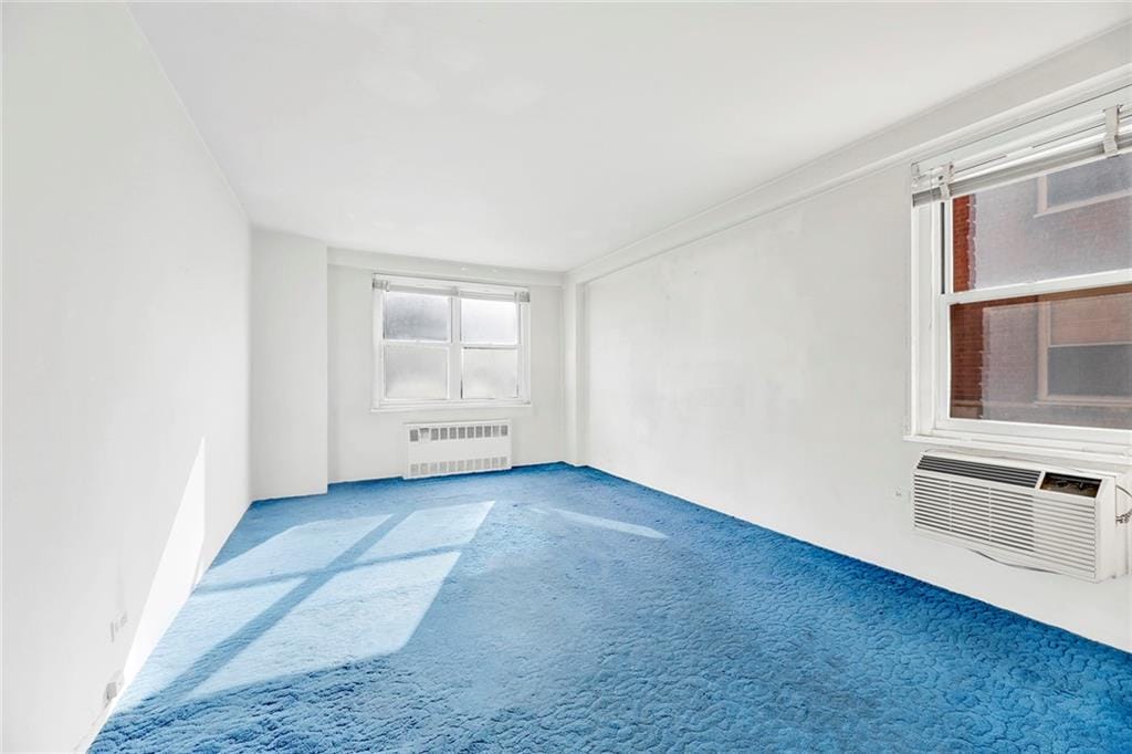 3215 Avenue H 3P, Brooklyn, New York, 11210 image 14