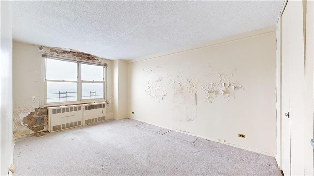 1311 Brightwater Avenue 10D, Brooklyn, New York, 11235 image 24