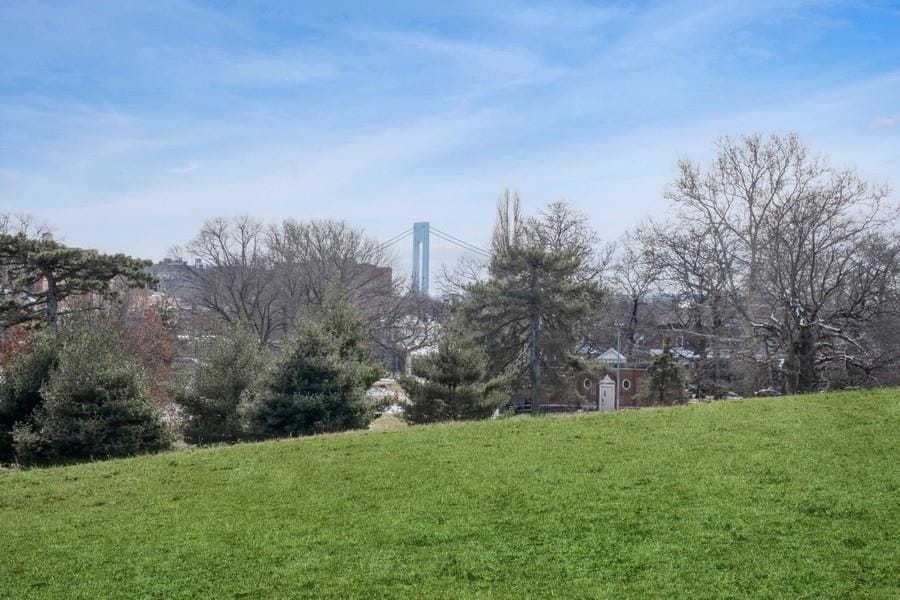 6665 Colonial Road 2F, Brooklyn, New York, 11220 image 21