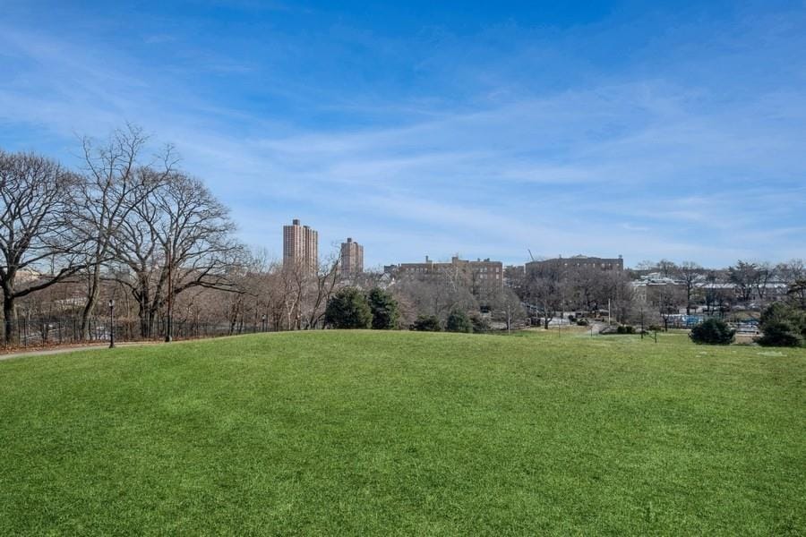 6665 Colonial Road 2F, Brooklyn, New York, 11220 image 23