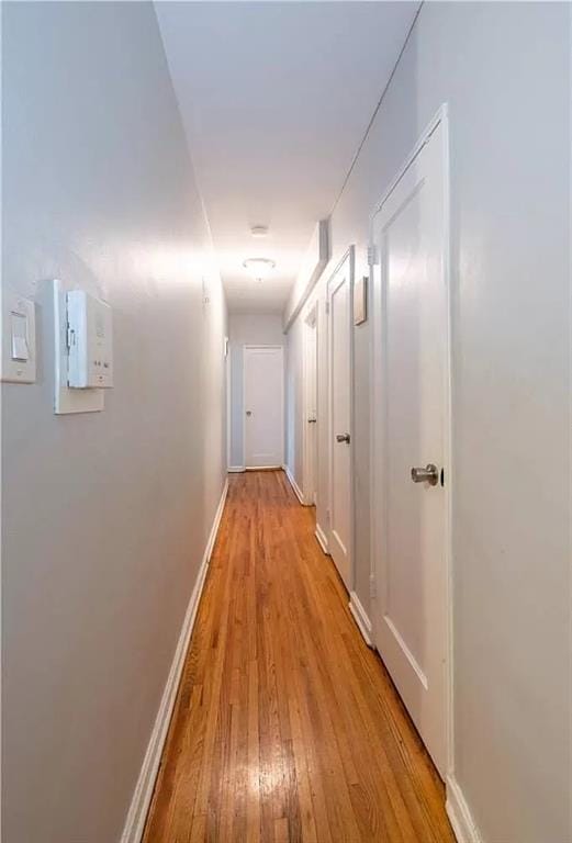 2229 Knapp Street 4E, Brooklyn, New York, 11229 image 21