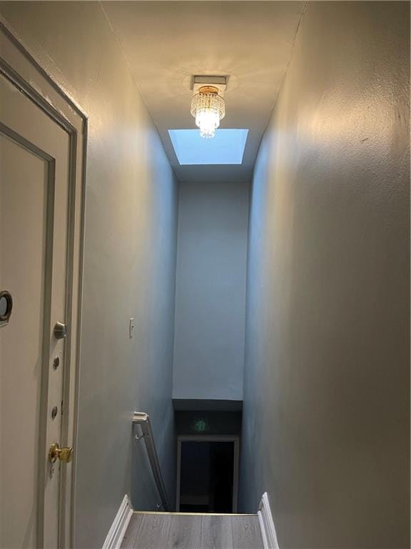 3523 Avenue I, Brooklyn, New York, 11210 image 14