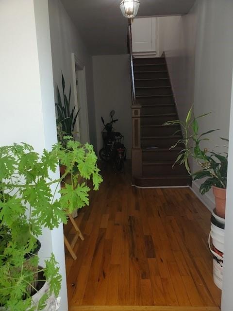 409 92nd Street, Brooklyn, New York, 11209 image 17