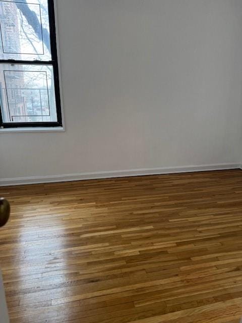 2271 Knapp Street 2E, Brooklyn, New York, 11229 image 7