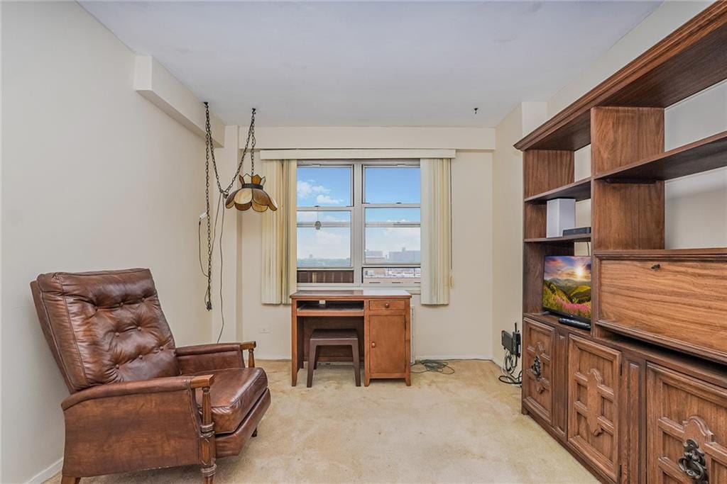 2630 Cropsey Avenue 9K, Brooklyn, New York, 11214 image 16