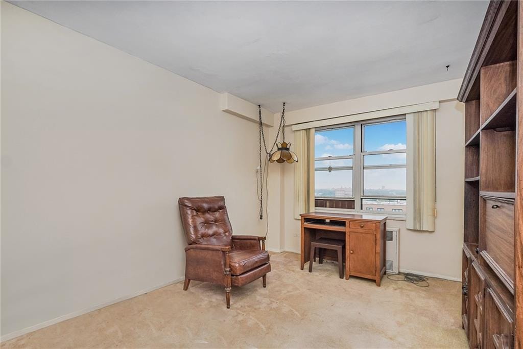 2630 Cropsey Avenue 9K, Brooklyn, New York, 11214 image 18
