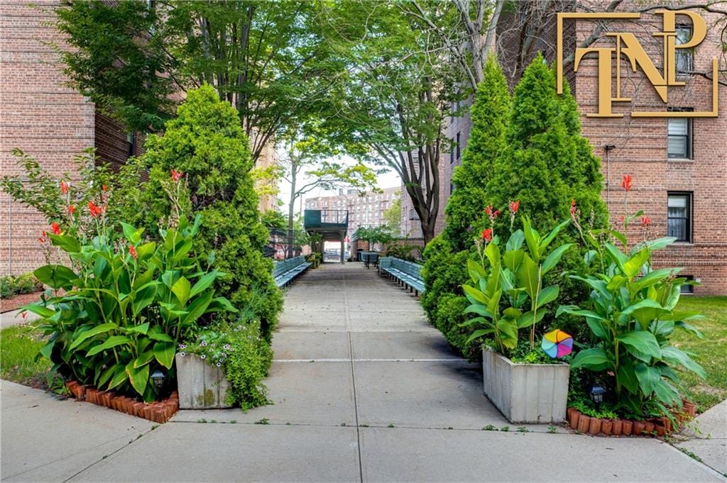 2229 Knapp Street 2A, Brooklyn, New York, 11229 image 13