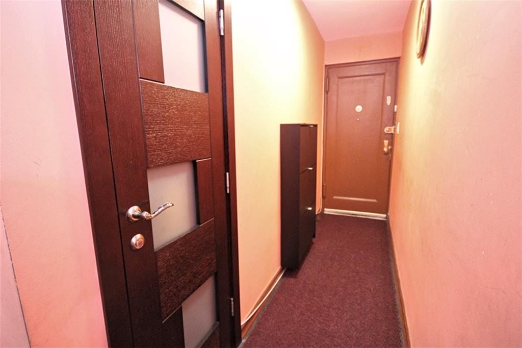 2209 Knapp Street 3G, Brooklyn, New York, 11229 image 19