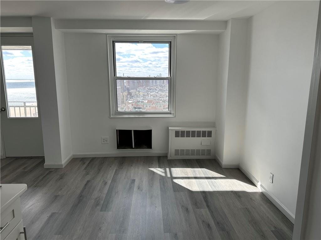 35 Seacoast Terrace 20A, Brooklyn, New York, 11235 image 8