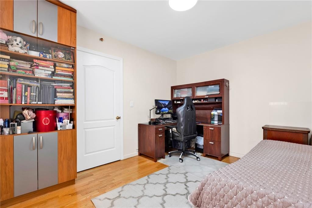 728 Ocean View Avenue A2, Brooklyn, New York, 11235 image 22