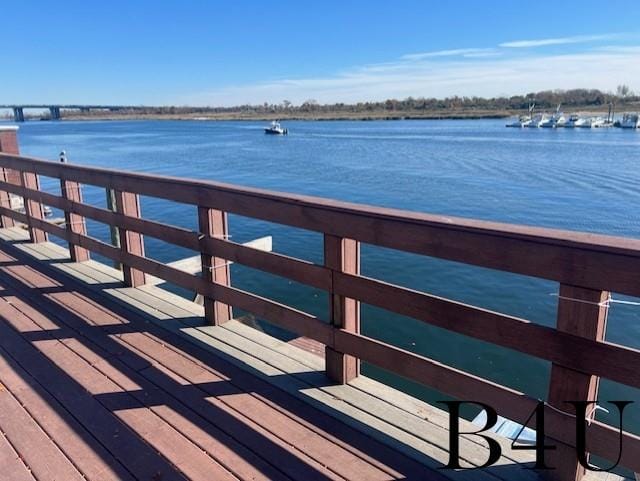 2416 National Drive, Brooklyn, New York, 11234 image 12