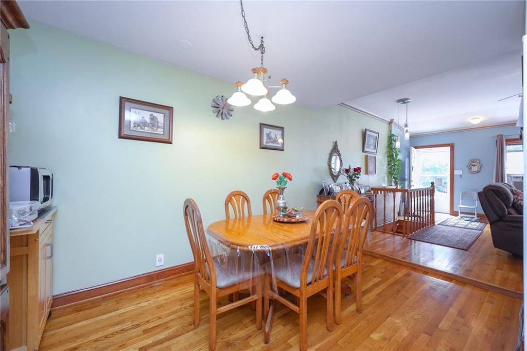 1131 61st Street, Brooklyn, New York, 11219 image 8