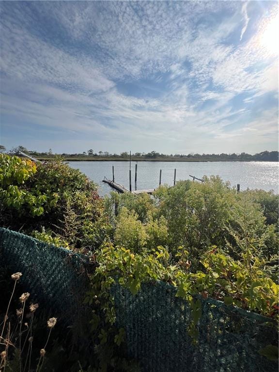 3 Gain Court, Brooklyn, New York, 11229 image 8