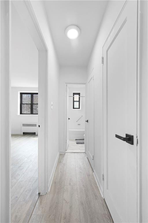 2807 Kings Highway 3C, Brooklyn, New York, 11229 image 7
