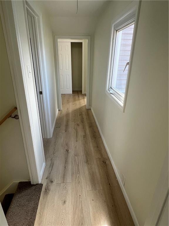 24 Cyrus Avenue, Brooklyn, New York, 11229 image 10