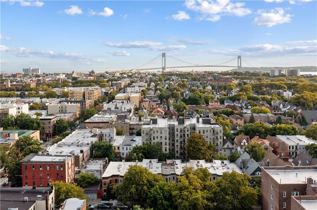 268 78th Street, Brooklyn, New York, 11209 image 26