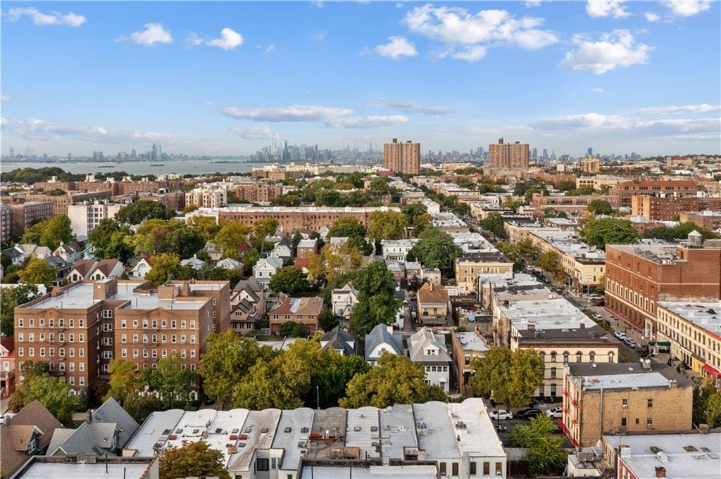 268 78th Street, Brooklyn, New York, 11209 image 28