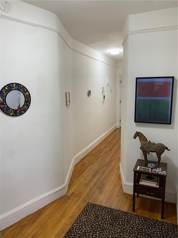 402 Bay Ridge Parkway 42, Brooklyn, New York, 11209 image 8