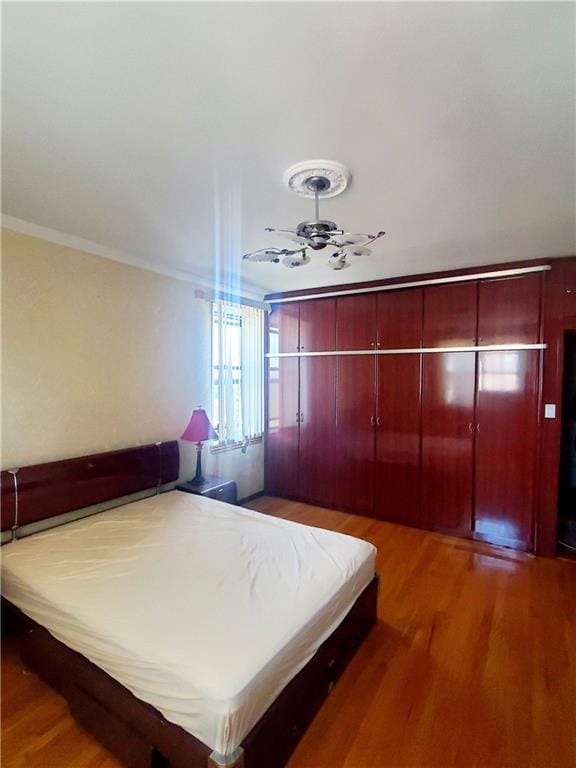 2375 Ocean Avenue 6K, Brooklyn, New York, 11229 image 11
