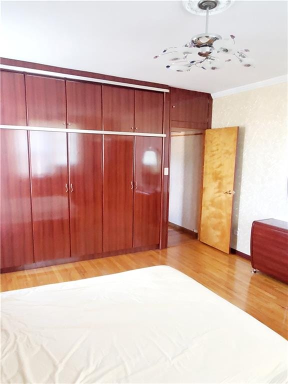 2375 Ocean Avenue 6K, Brooklyn, New York, 11229 image 10