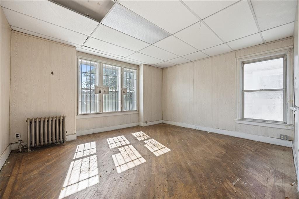 3105 Avenue J, Brooklyn, New York, 11210 image 6