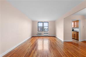 414 Elmwood Avenue 3A, Brooklyn, New York, 11230 image 7