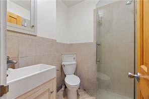 232 Kingsland Avenue, Brooklyn, New York, 11222 image 9