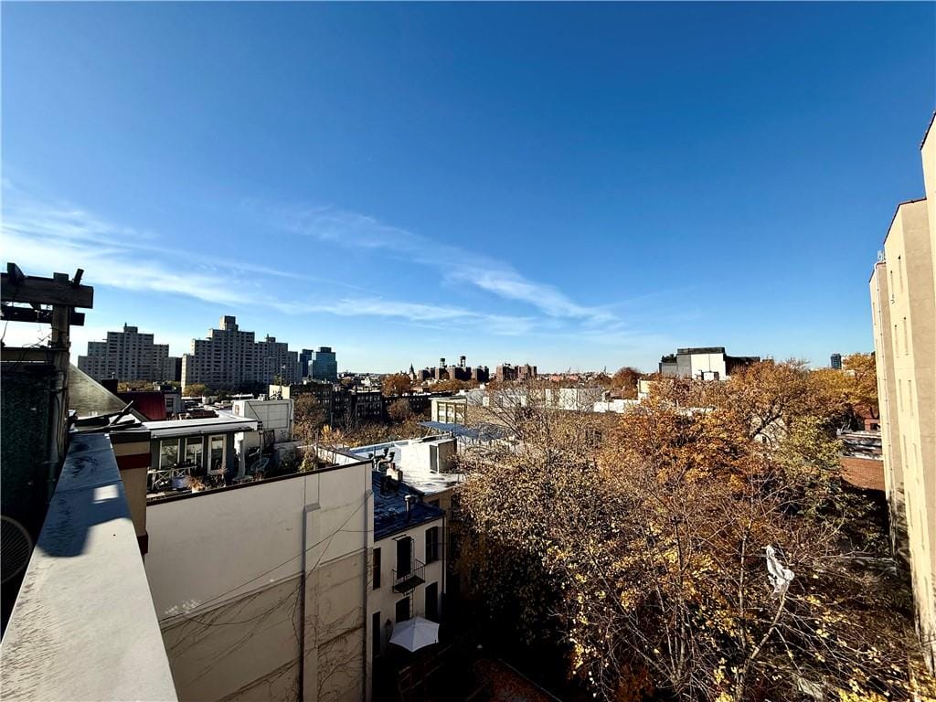 52 Third Avenue 1A, Brooklyn, New York, 11217 image 15