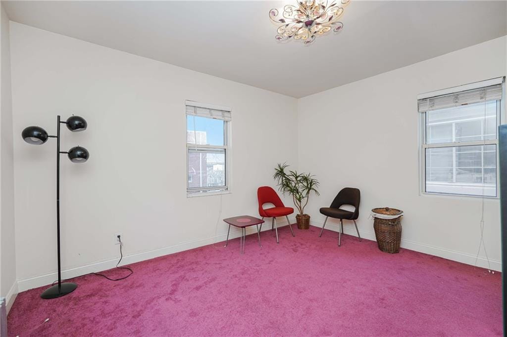 1274 East 5th Street, Brooklyn, New York, 11230 image 14