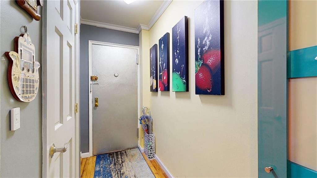 3101 Ocean Parkway 2B, Brooklyn, New York, 11235 image 21