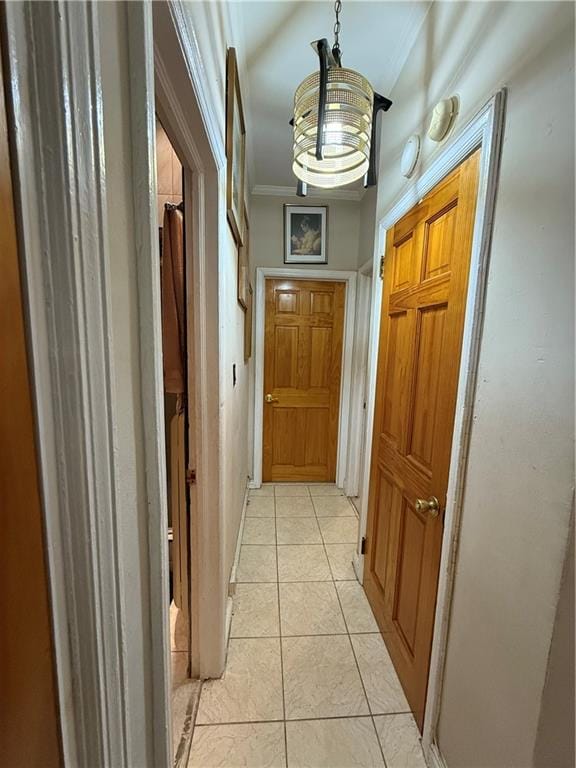 541 East 54th Street, Brooklyn, New York, 11203 image 6