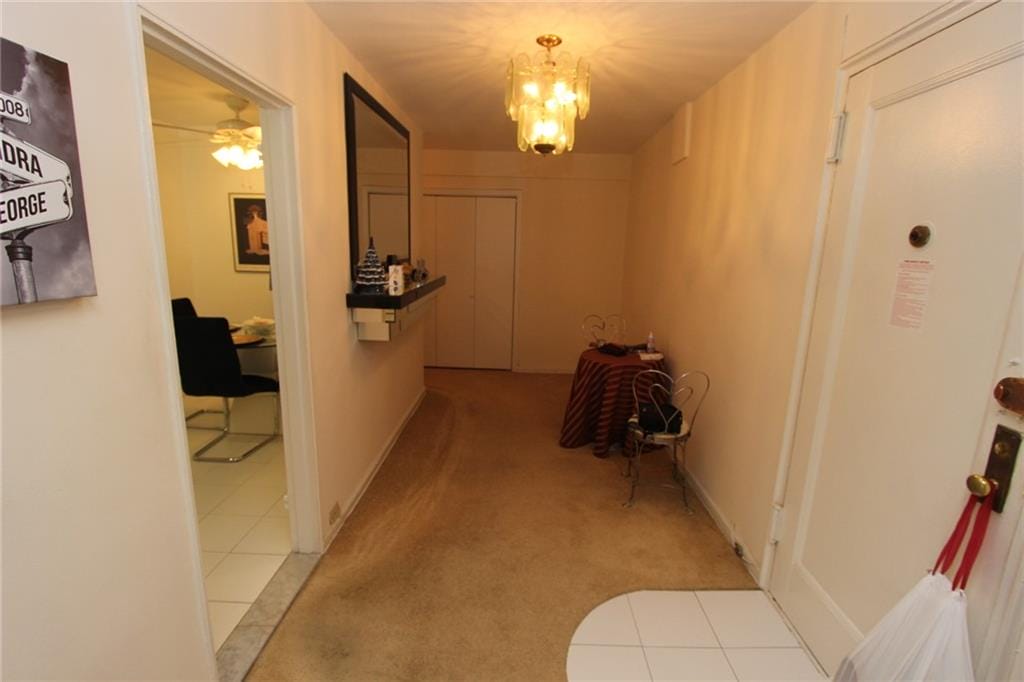 2250 Brigham Street 3C, Brooklyn, New York, 11229 image 12