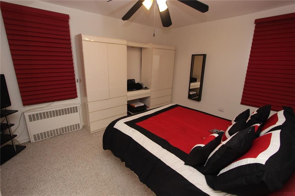 2250 Brigham Street 3C, Brooklyn, New York, 11229 image 10