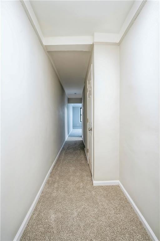 9524 Fort Hamilton Parkway 508, Brooklyn, New York, 11209 image 11