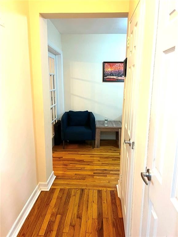2331 Ocean Avenue 1F, Brooklyn, New York, 11229 image 12