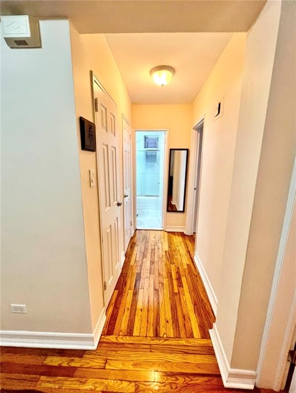 2331 Ocean Avenue 1F, Brooklyn, New York, 11229 image 9