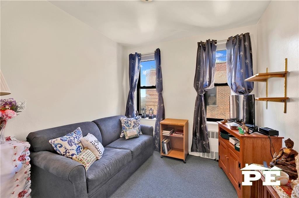 2251 Knapp Street 6L, Brooklyn, New York, 11229 image 11