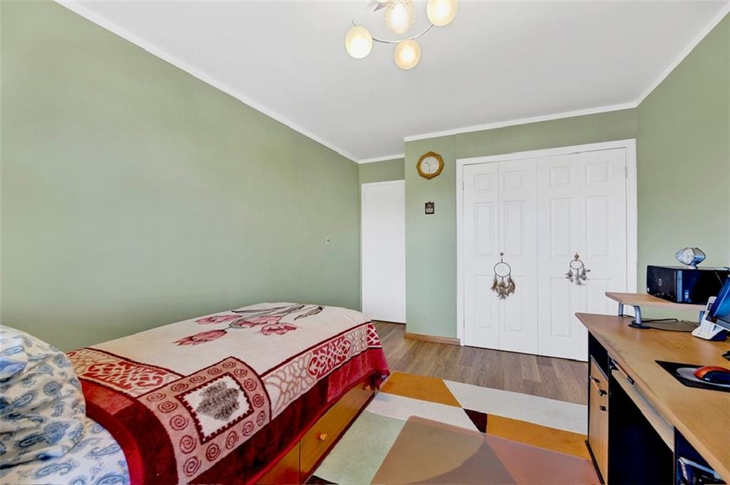 2483 West 16th Street 3D, Brooklyn, New York, 11214 image 14