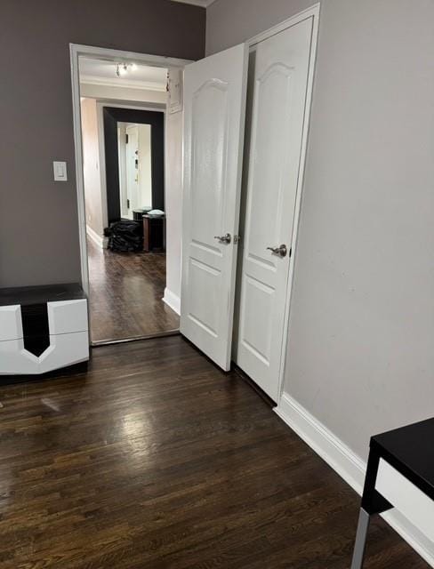 393 Avenue S 5H, Brooklyn, New York, 11223 image 13