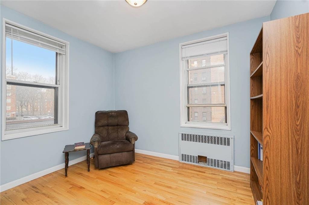 2250 Brigham Street 2E, Brooklyn, New York, 11229 image 11