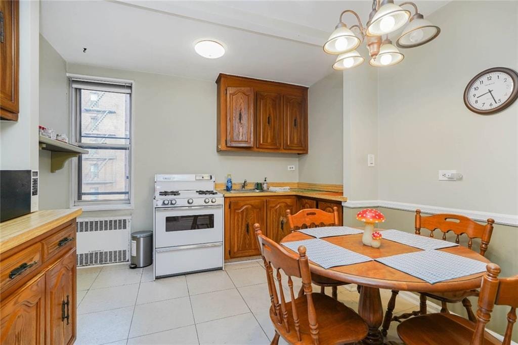 2250 Brigham Street 2E, Brooklyn, New York, 11229 image 14