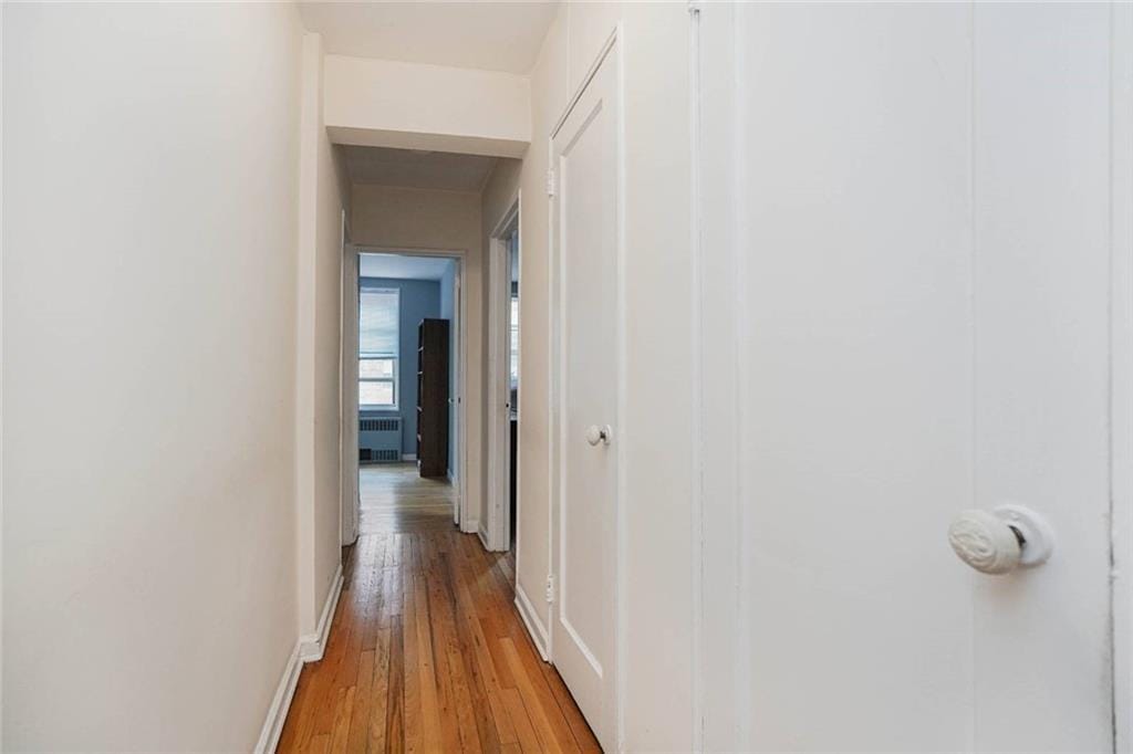 2250 Brigham Street 2E, Brooklyn, New York, 11229 image 16