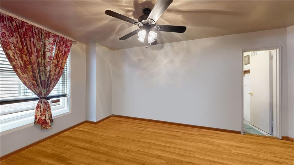 2525 Nostrand Avenue 3R, Brooklyn, New York, 11210 image 12