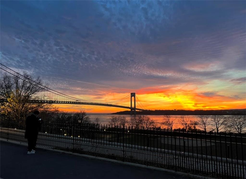 9701 Shore Road 1O, Brooklyn, New York, 11209 image 16