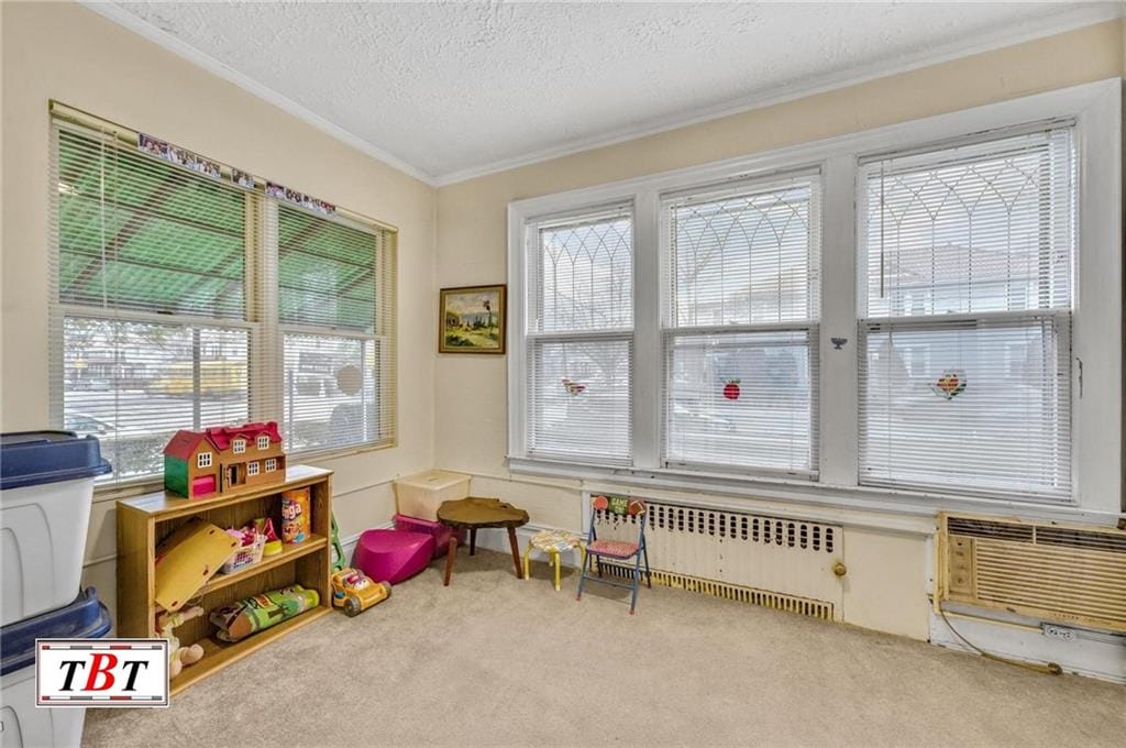 3715 Bedford Avenue, Brooklyn, New York, 11229 image 25