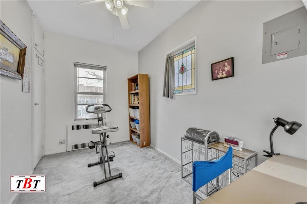 3715 Bedford Avenue, Brooklyn, New York, 11229 image 28