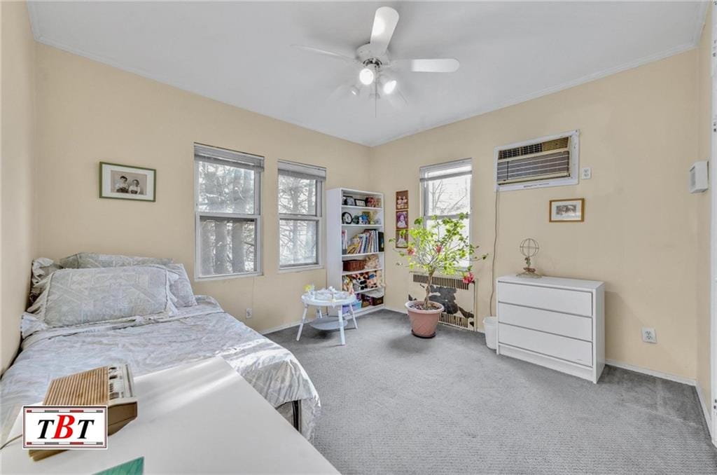 3715 Bedford Avenue, Brooklyn, New York, 11229 image 30